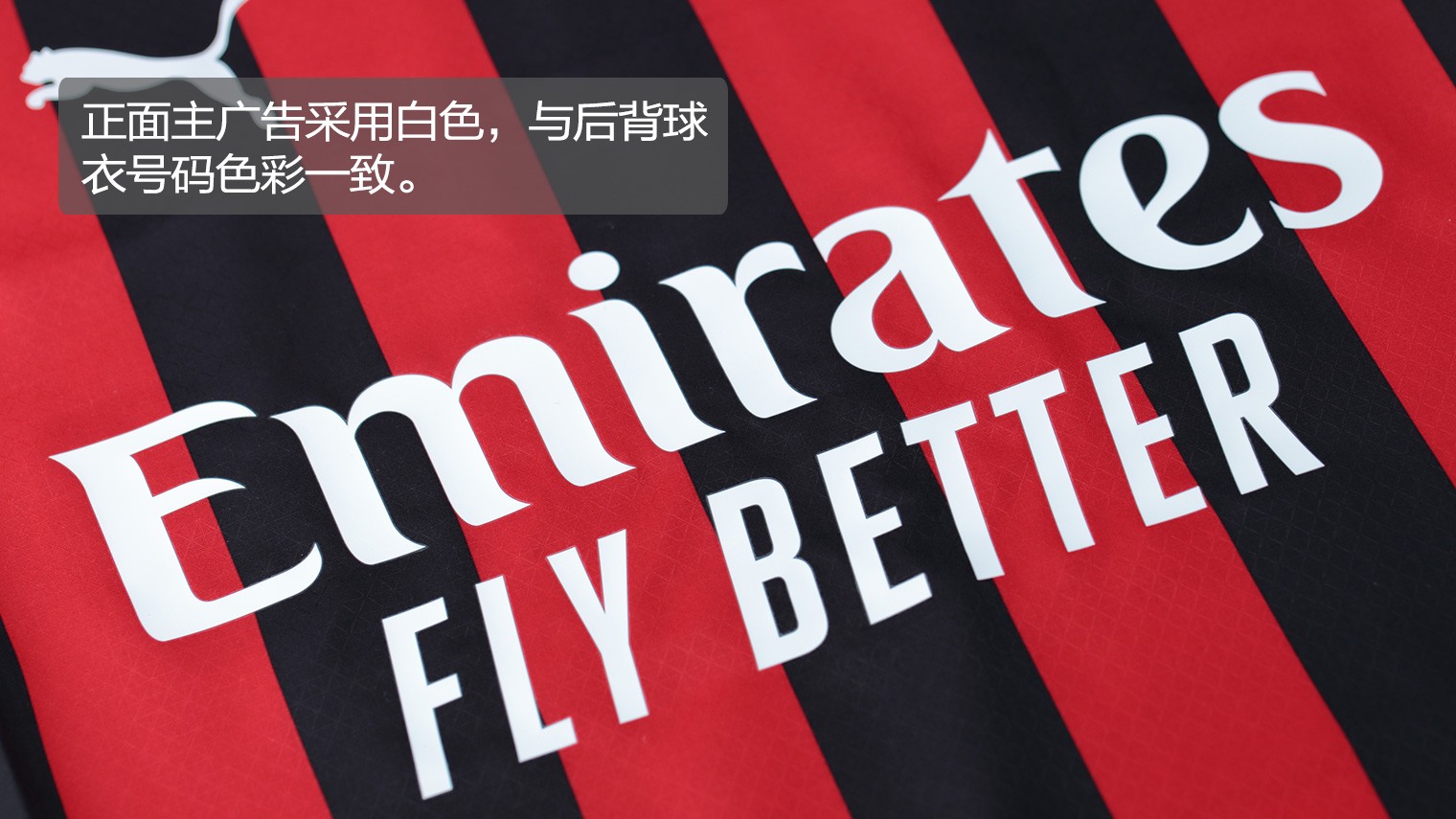 肘区和挡拆 肘区和挡拆